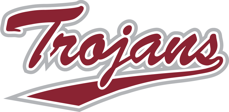 Troy Trojans 2019-Pres Wordmark Logo v3 diy DTF decal sticker